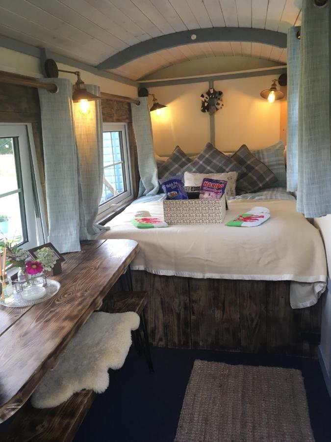 Belan Bluebell Woods Shepherds Hut Llanidloes Exterior foto