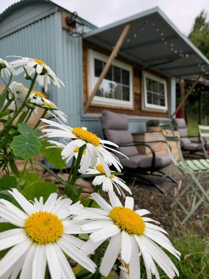 Belan Bluebell Woods Shepherds Hut Llanidloes Exterior foto